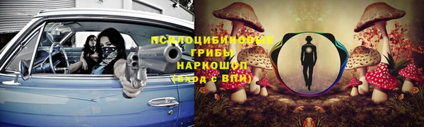 прущие крисы Белокуриха