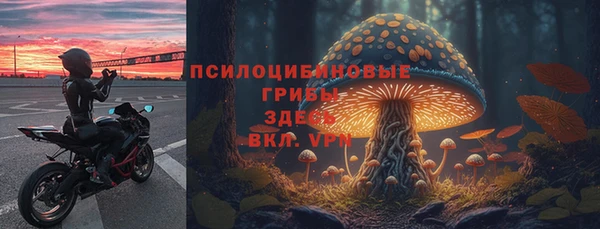 прущие крисы Белокуриха