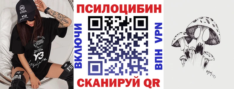 где найти   Цимлянск  Галлюциногенные грибы MAGIC MUSHROOMS 
